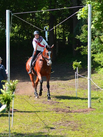 Himmelfahrt 2017