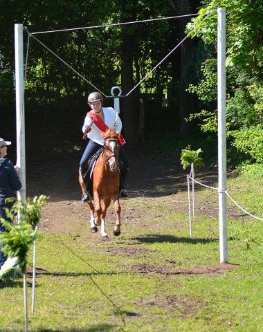 Himmelfahrt 2017