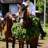 Himmelfahrt 2017